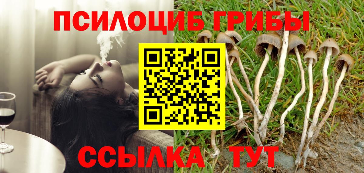 Галлюциногенные грибы ЛСД Ухта